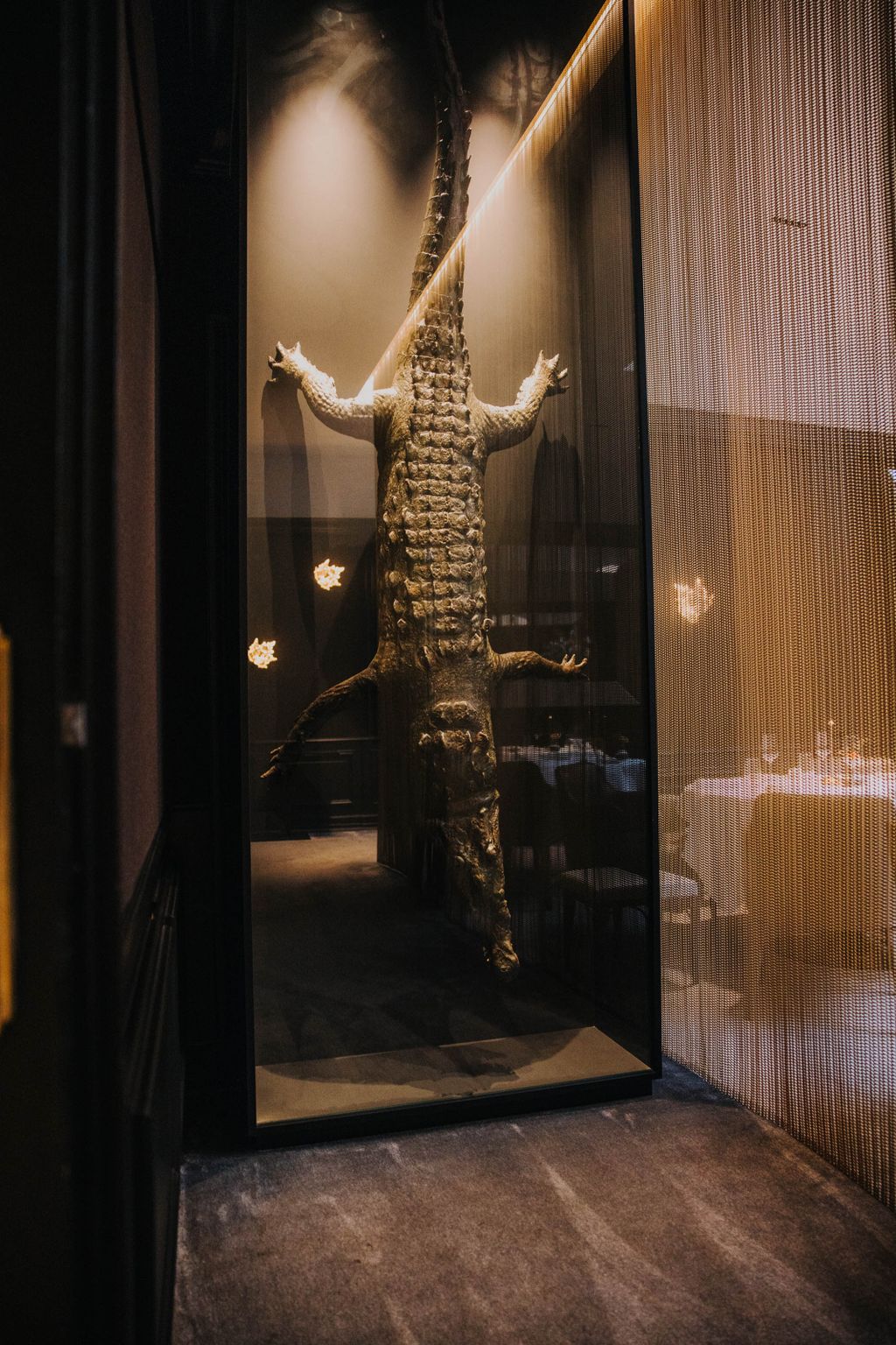 Le crocodile historique