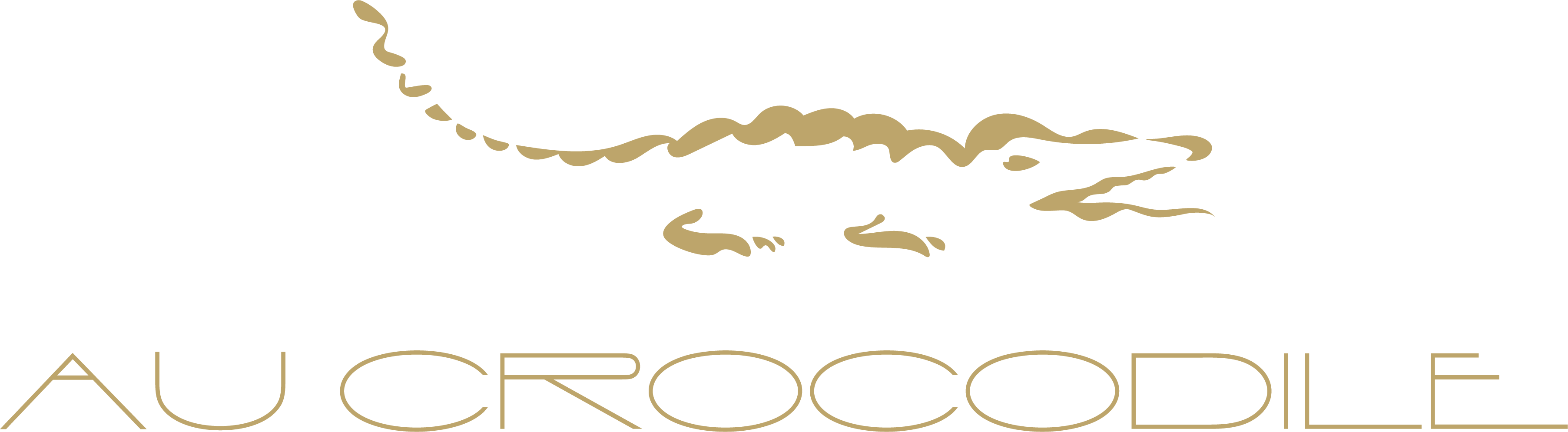 Au Crocodile